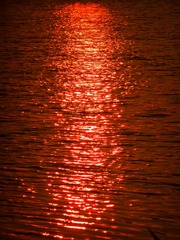 7DD5DA00-1EC0-42AE-A0FB-2052DC5C965F/L0/001