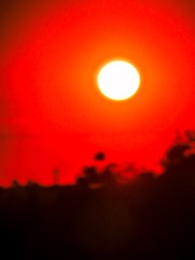 D0A67AD1-B6B4-4ECF-88EF-2A6FA6F10571/L0/001