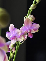 91903038-1D77-4441-9DFD-5EA39B1D4DD0/L0/001