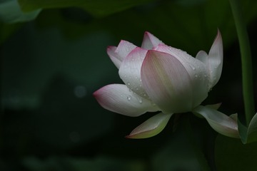 1000045257