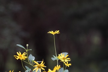 345397