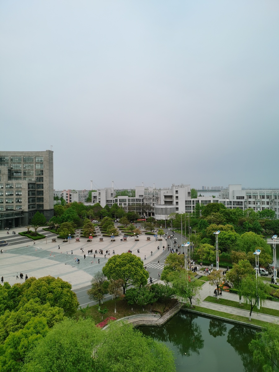 俯拍校园郁郁葱葱