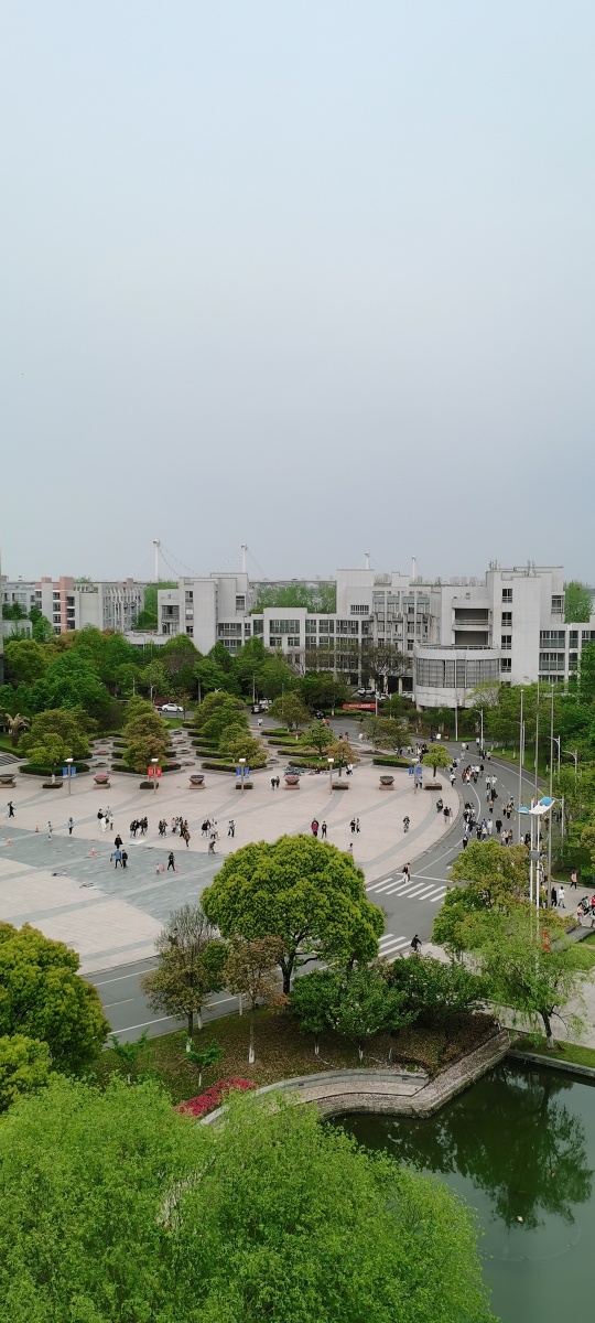 俯拍校园郁郁葱葱