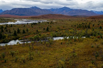 L1004558