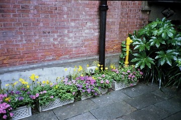 1120112_p1