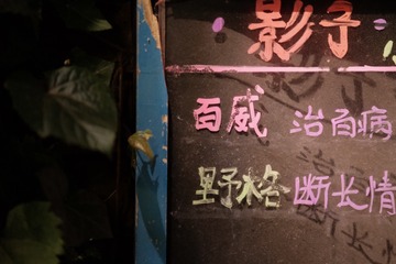 0767334C-6E4B-4EA5-93B4-7FD923379BC4/L0/001