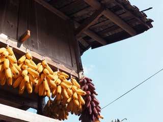 250