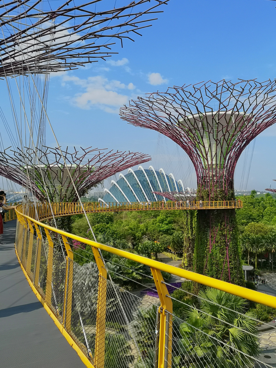 新加坡被誉为花园之城滨海湾花园新加坡植物园鱼尾狮公园都是经典之作