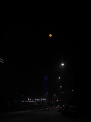 D85BA0A9-D554-41E8-99BC-98D3765924D4/L0/001