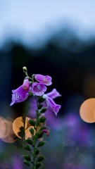 047B1D0E-BF8B-411A-A5C9-D63648142BC1/L0/001