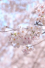 2D5F0CA7-2E85-4D74-9BBF-D9B878C6AB3B/L0/001