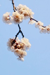 4E114BFB-683D-431B-8903-C6E1E2641260/L0/001