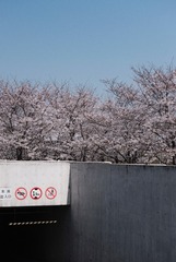 636EBE17-6552-4B60-970B-8C6EC6689359/L0/001