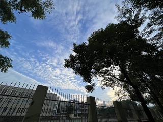 EEA3A17B-7789-4DDE-A504-E2DD23B3003A/L0/001