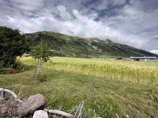 704248ED-D192-4CD6-90B3-95F2D430D4AD/L0/001
