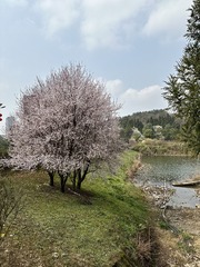 A0FD37FD-2209-456D-B57B-84D705D4200D/L0/001
