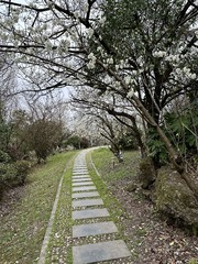 D10B6178-4BDD-40C1-915A-BF31721132F4/L0/001