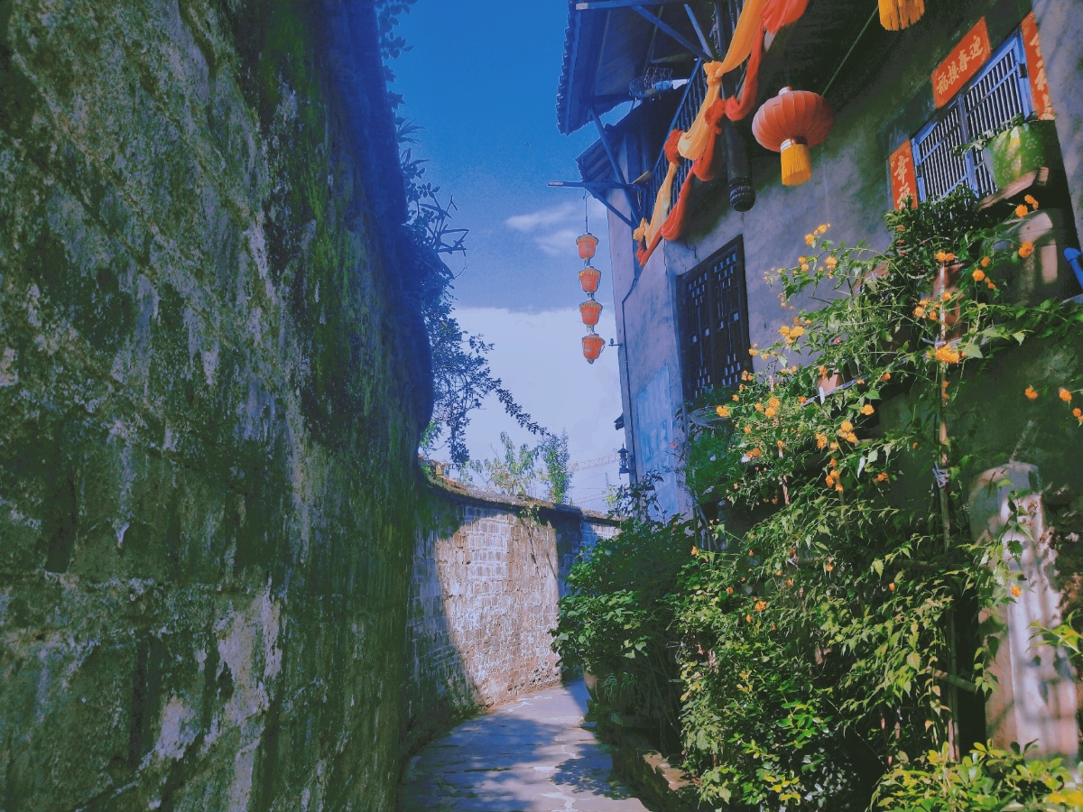 清风以北过南巷南巷故人不知归