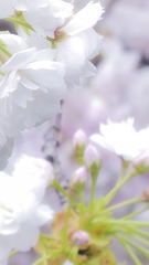 B70B7DF7-D39D-4832-A23D-9B2FF16C199C/L0/001