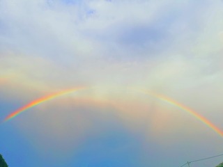 1232010