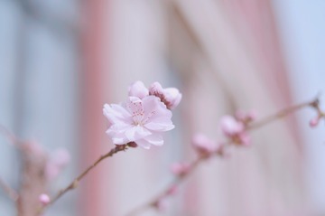BE98A98D-F7D1-4406-B00C-78132EB0240F/L0/001