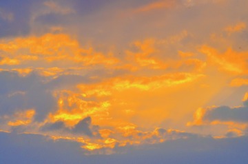 640772AD-7F54-4386-A8A5-043E9D3D810E/L0/001