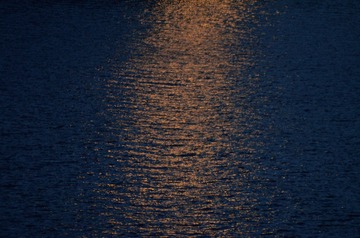 CCBEABF3-C31E-46FE-B215-6757F5304768/L0/001