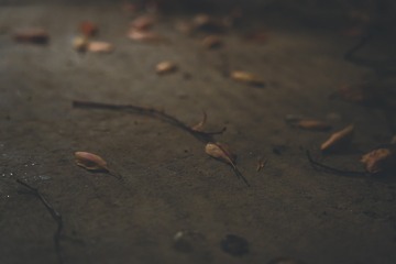 5A07D897-E3E3-4FE2-97B3-B01055F3E38A/L0/001