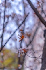 89AD6275-4A0B-4FA0-B1BE-982AF83D1377/L0/001