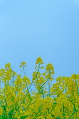 FD52B67F-6E00-4C47-B2EC-9BA6F1CE9181/L0/001