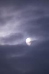389421