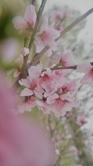 E0093234-F433-48CB-9C0E-72E1380CA2B4/L0/001
