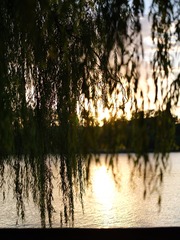 3E09E4ED-2FB0-4737-B244-FA25A6D60AD5/L0/001