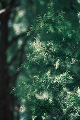 BB1F6137-FF27-4E82-B365-84548DCD8D56/L0/001