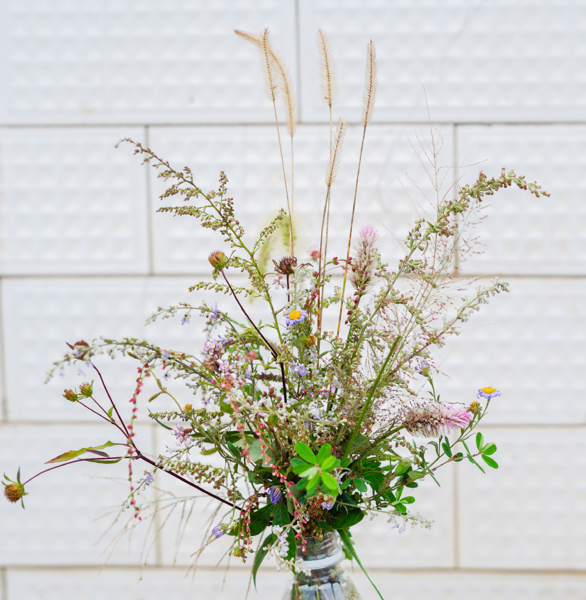 去年国庆的家乡小路采路边各种野花制成的小花束借用表弟一只哈哈哈第