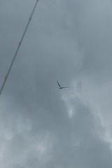 001
