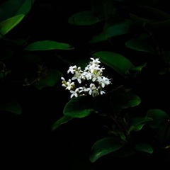 45944500-7D53-44EE-BC24-447A5ED3998F/L0/001