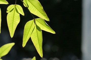 1000140122