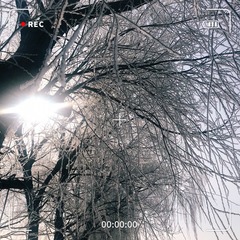 92F233CC-1955-469F-896A-372002142ECD/L0/001