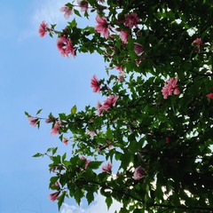 3A5AE58E-4742-42F0-98A5-466086CE48BD/L0/001