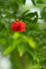 06BD667C-CD3C-447A-995B-324537763886/L0/001