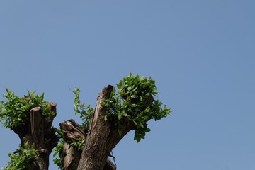4E4CFE8E-FE82-4EBA-85E0-EF19E992F956/L0/001