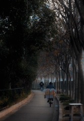 446C33FE-BD14-45F7-915A-63A0DF3D6F23/L0/001