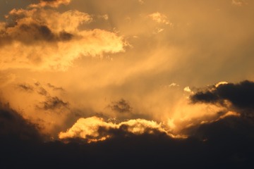 E67AA207-88D0-48A5-AD39-7A069208F0D7/L0/001