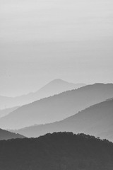 8684866C-6522-4E5B-B145-1ED026F40B01/L0/001