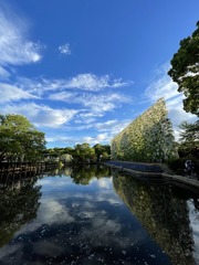 FD07A9EB-0B93-47CF-A111-44E4E889B076/L0/001