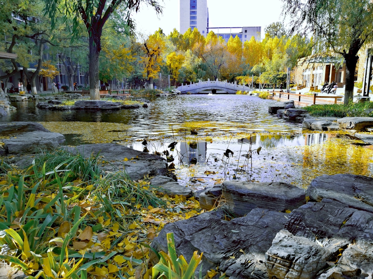 校园风光中国传媒大学