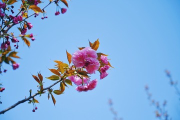 D41852A0-4537-4177-A445-B95ED6A5909E/L0/001