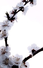 5D380899-F850-403B-9057-1E2B63E3A868/L0/001