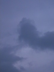 5B0D8691-7880-4F00-81EC-9CF92381B4E2/L0/001